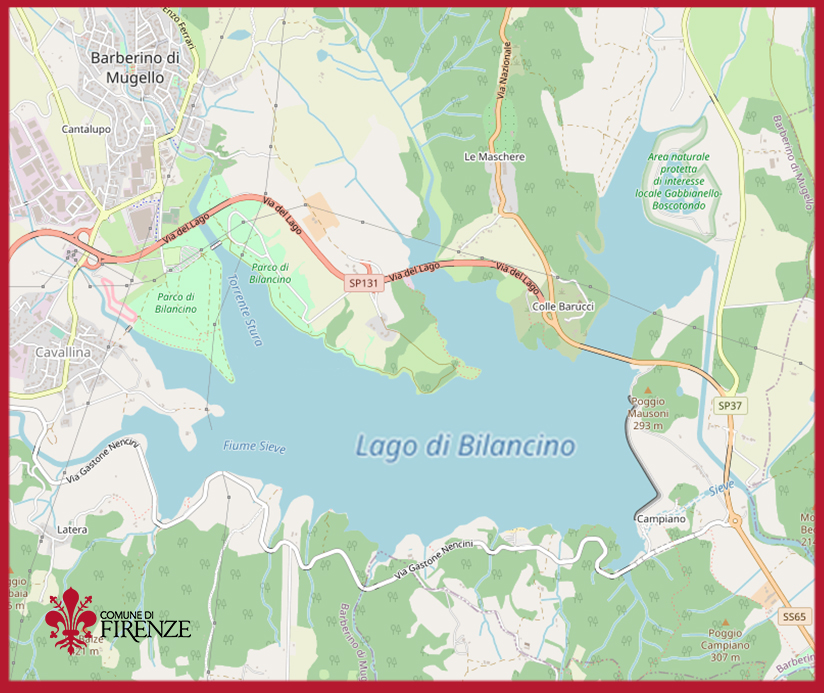 Livello Invaso Bilancino